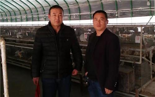 山東冠縣最新動態,縣域經濟蓬勃發展新面貌揭秘