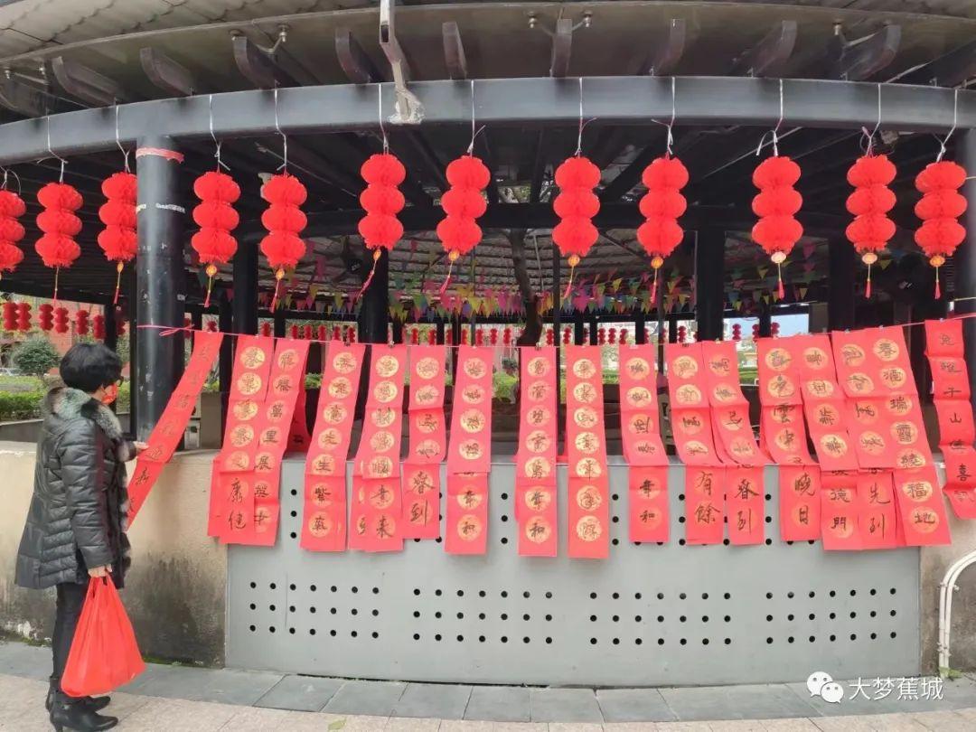 寧德金馬大橋建設進展，橋梁成長見證自信之路