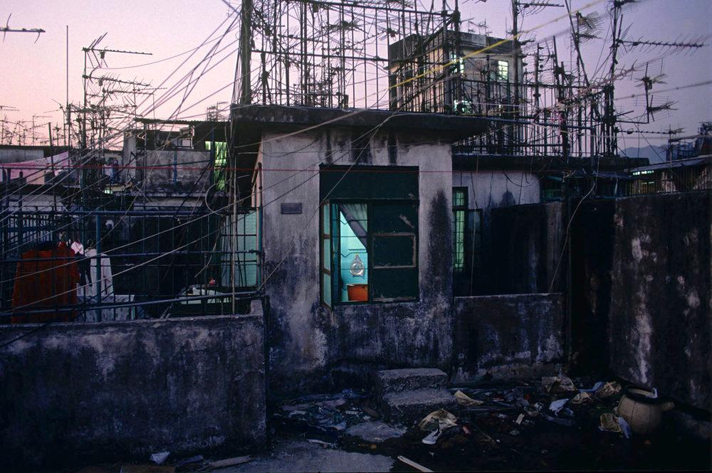 香港電視臺(tái)，變化中的學(xué)習(xí)之旅，自信與成就的力量展現(xiàn)