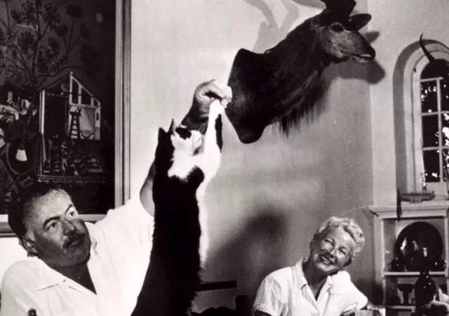 最新單身語錄，時代獨立之聲的吶喊