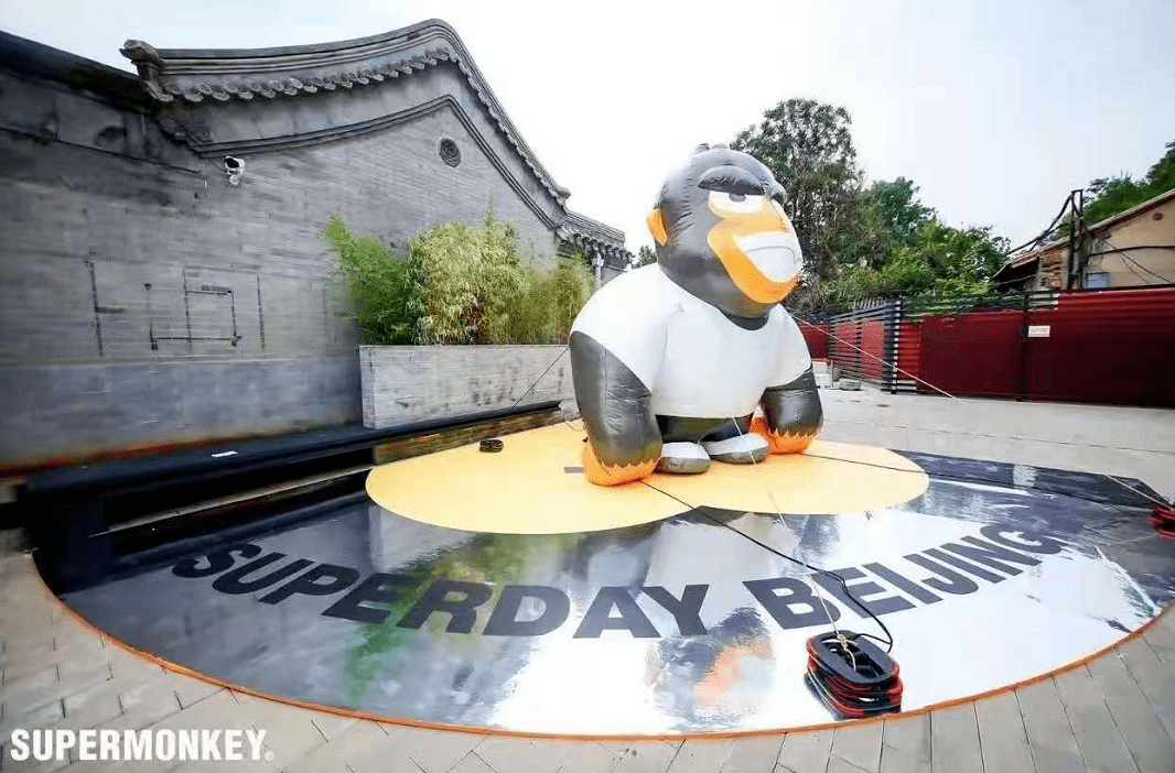 樂至并入成都最新動態揭秘，小巷深處的驚喜寶藏！