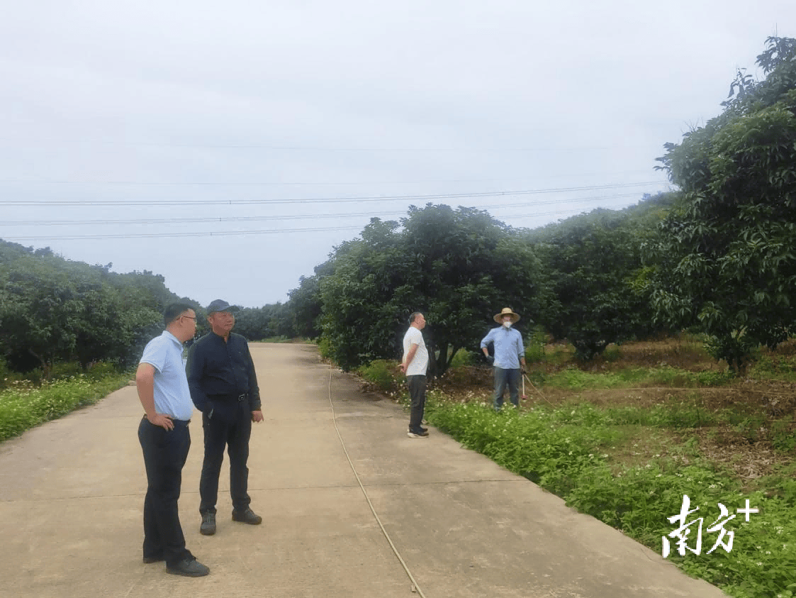 高州根子鎮科技新品亮相，開啟未來生活新篇章