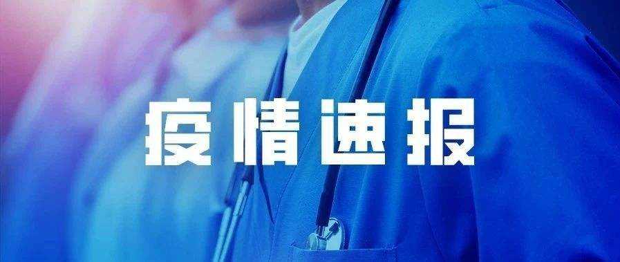 麗水最新疫情通報(bào)，變化中的學(xué)習(xí)之光與自信成就感的源泉