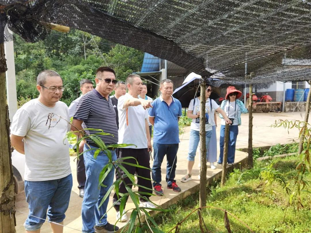 黃精行業動態,黃精行業動態，砥礪前行，變化中的自信與成就