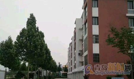 平度信息港最新房源，繁榮時代的變遷見證者