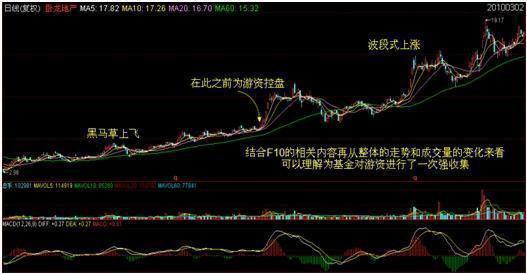 臥龍地產股票，自然美景的探索之旅與投資價值分析