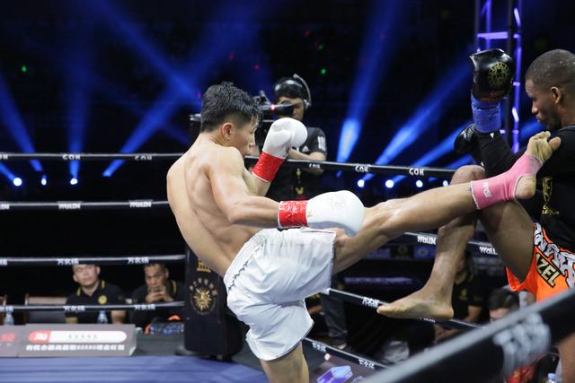 韓文豹最新比賽，榮耀傳奇的續寫之路