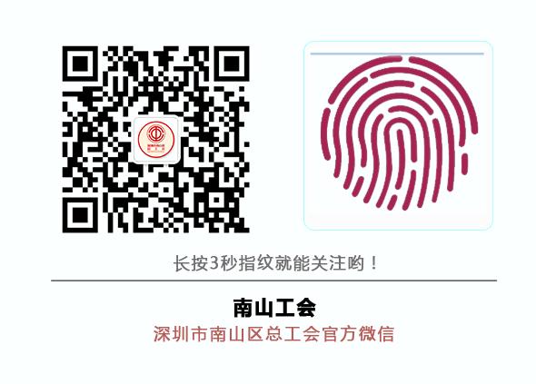 最新港獨動態,日常故事中的溫馨與趣味