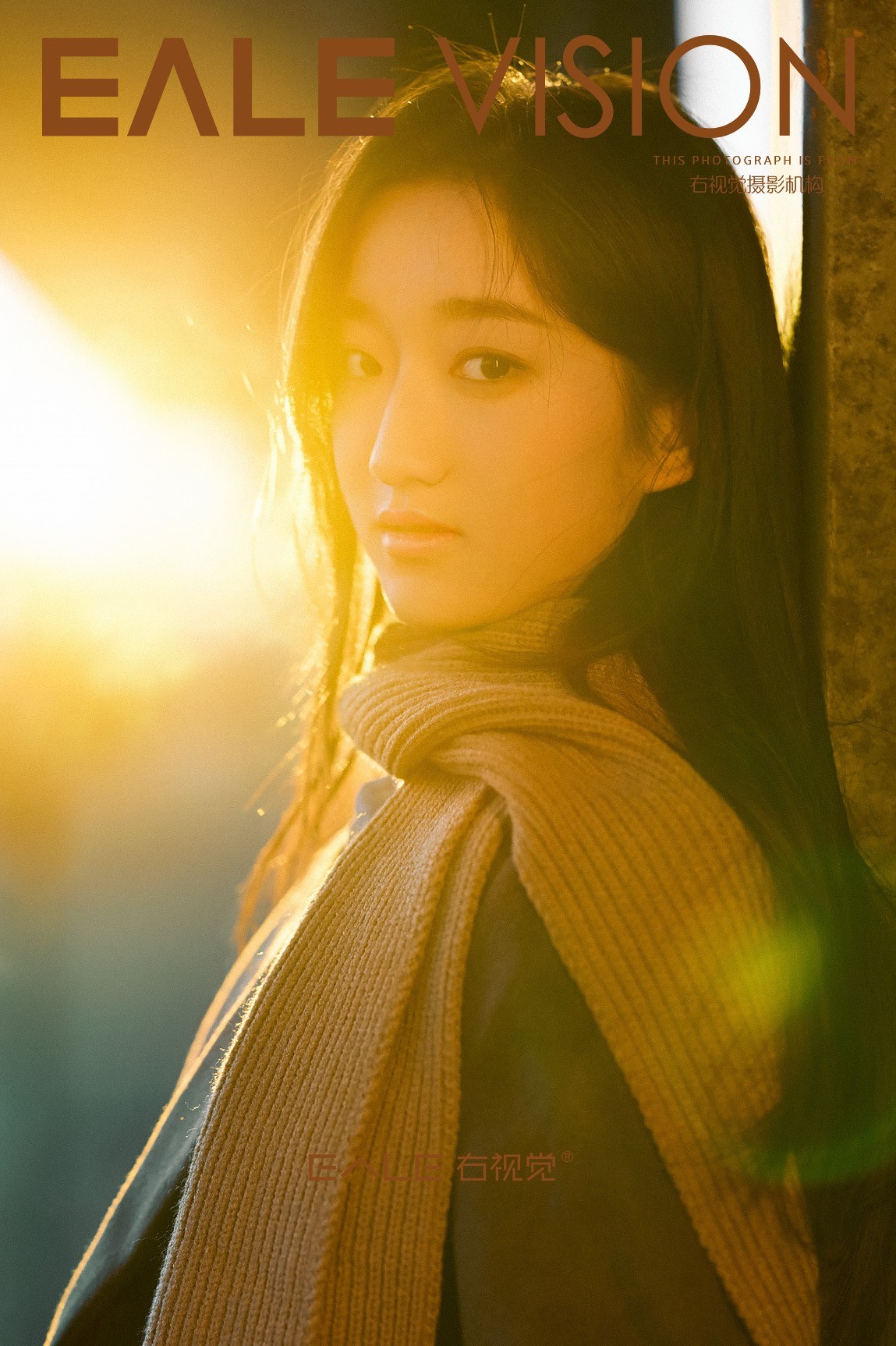 冬日暖陽電影，陽光下的溫暖故事之旅