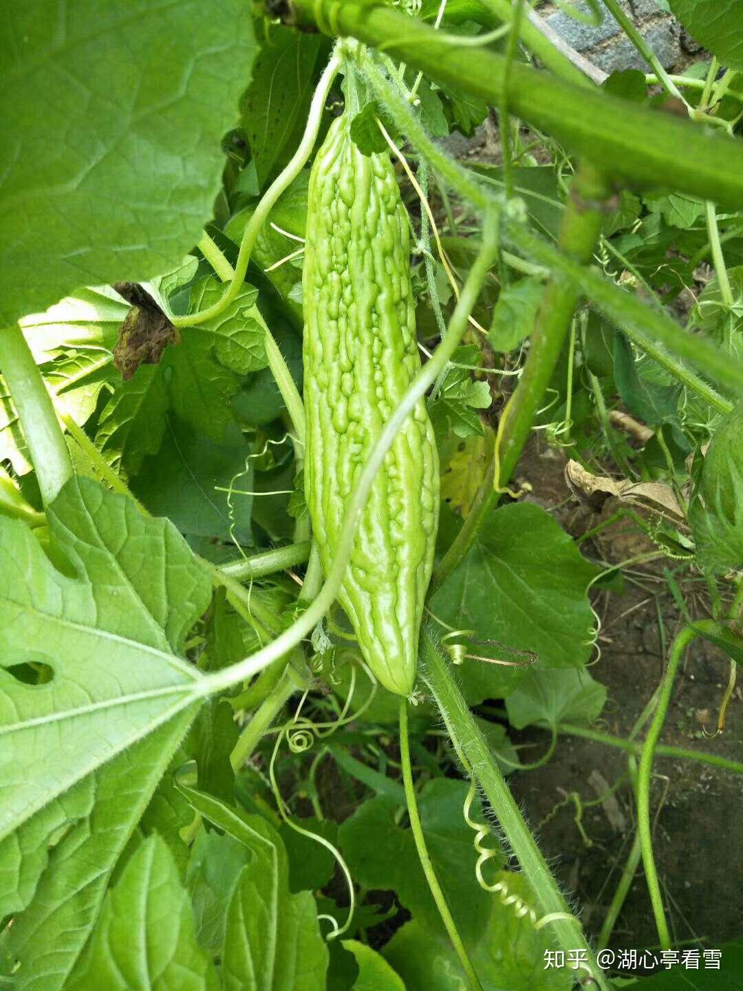 未來科技新品亮相引爆潮流大瓜！