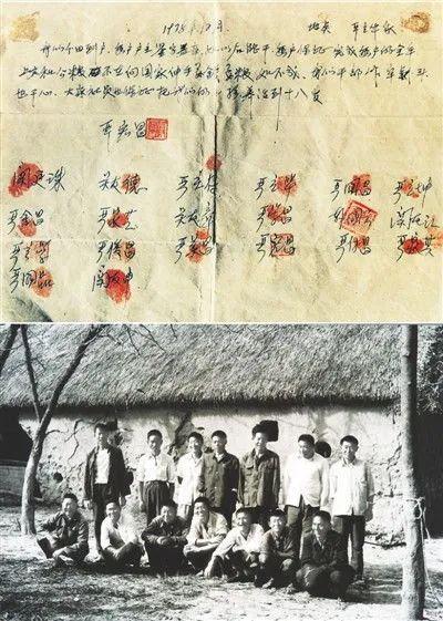 最新土地改革政策深度解讀與個人觀點分析