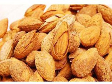 杏仁價(jià)格揭秘，歷史背景與現(xiàn)代市場地位探究