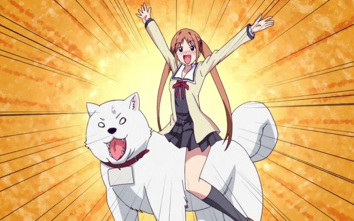 必看動(dòng)漫，動(dòng)漫愛好者的進(jìn)階指南