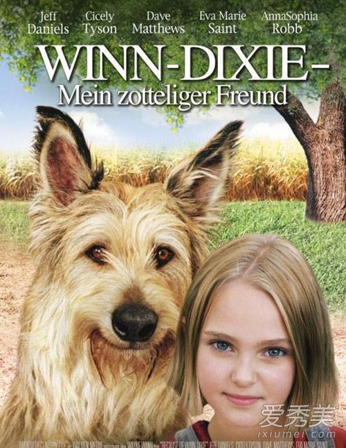 動物電影勵志故事，十大排行榜里的自信與成長之路