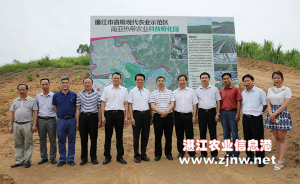 湛江農(nóng)墾局局長(zhǎng)的最新動(dòng)態(tài)更新，最新動(dòng)態(tài)揭秘