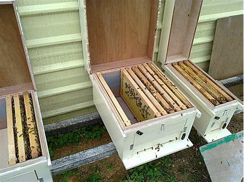 最新蜂箱技術(shù)，開啟甜蜜事業(yè)，成就自信與成就感之源