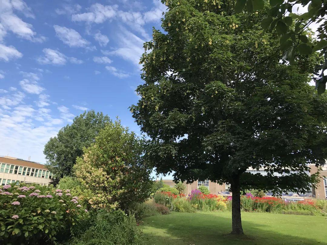 英國大學最新排名，揭示英國高等教育卓越力量的探索之旅