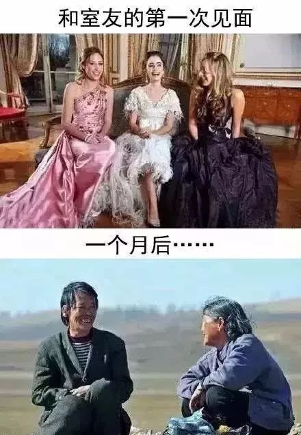 給室友的三行情深告白