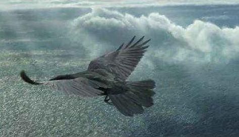 鳥炸天1.44新版攻略，任務完成與技能學習步驟指南（初學者與進階用戶必看）