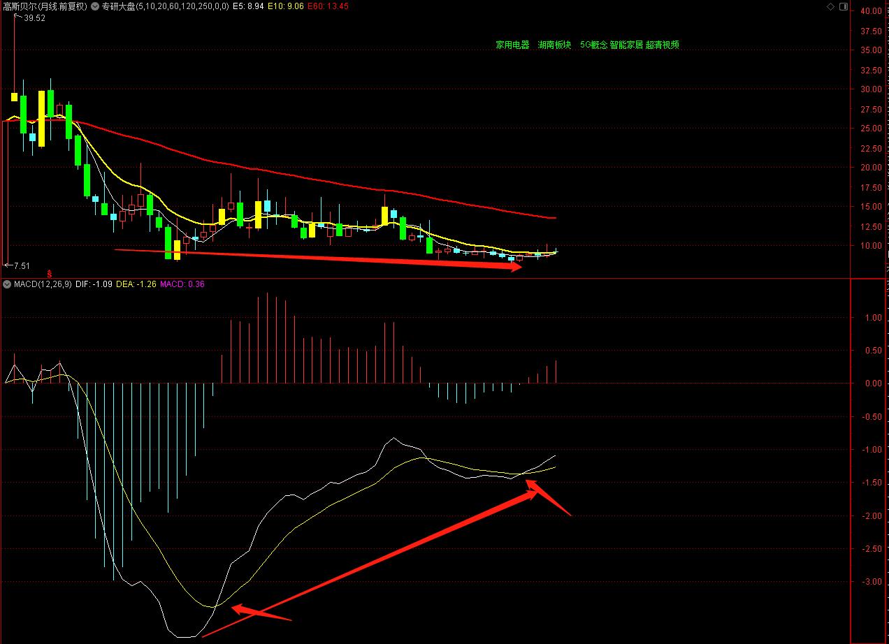 股票研究，心靈與自然的探索之旅