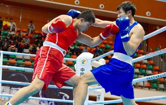 全球最新拳王爭霸賽，科技重塑榮耀之戰(zhàn)，拳擊魅力空前展現