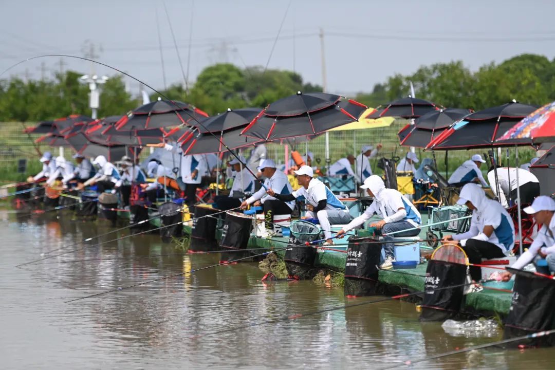 垂釣比賽，自然美景探索之旅的激情盛宴