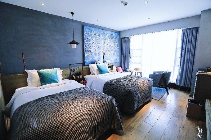 樂視最新操作系統,變革之力與自信成就感的探索之路