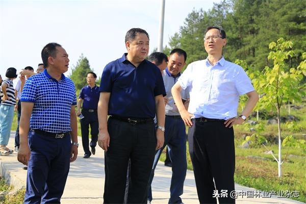 湖北許克振最新動態(tài)揭秘，探索自然美景之旅，尋找內(nèi)心平和之地。