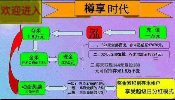 田田圈,科技賦能生活,創新引領未來——最新運行情況解析