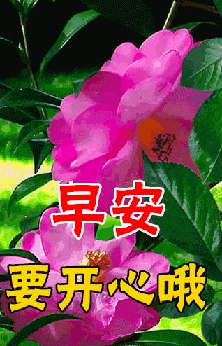 最新動(dòng)態(tài)，深度論述某某觀點(diǎn)