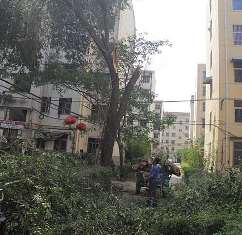 榆樹吧最新資訊，學習變革，自信成就未來之路