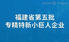 專精特新小巨人上市公司，探尋小巷中的獨特風(fēng)味之旅