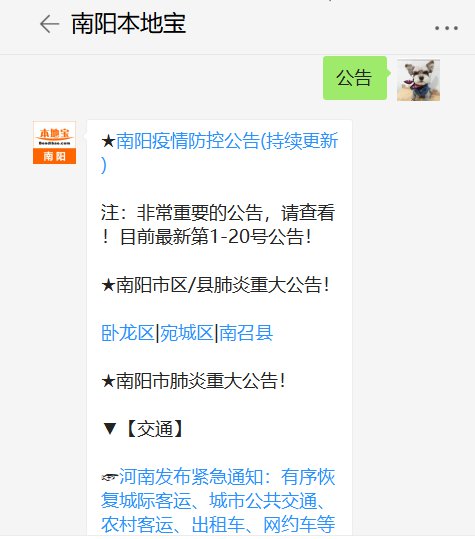 交通恢復資訊，城市流動重新啟航的實時動態播報