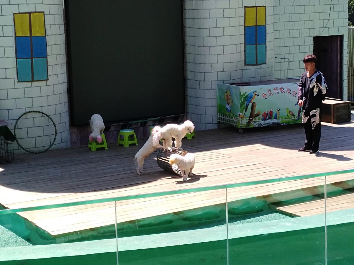 都市全能高手最新篇章，科技巔峰之作，智能生活新紀(jì)元開啟