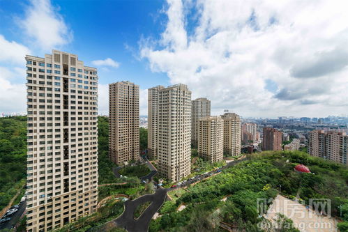 大連最新樓盤的溫馨生活日常