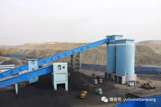 煤礦價格趣事分享，日常中的波動與趣聞