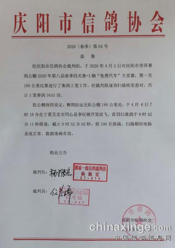 趙縣信鴿協(xié)會,科技引領(lǐng)未來,信鴿飛翔新天地的最新通告