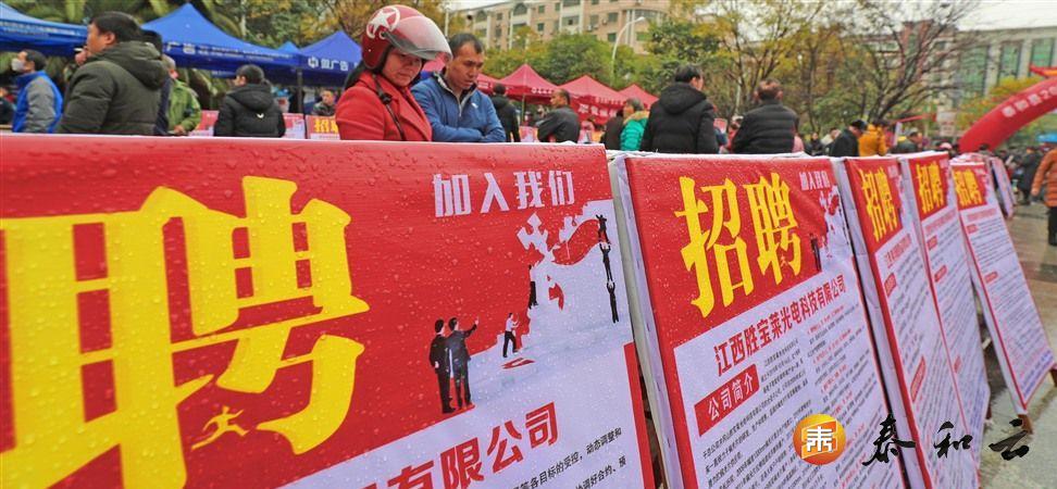 江西泰和最新職位招聘大揭秘，求職者的福音！