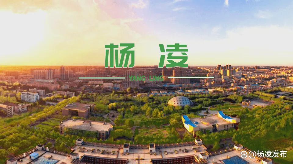 楊凌最新動態，技能提升與任務完成指南