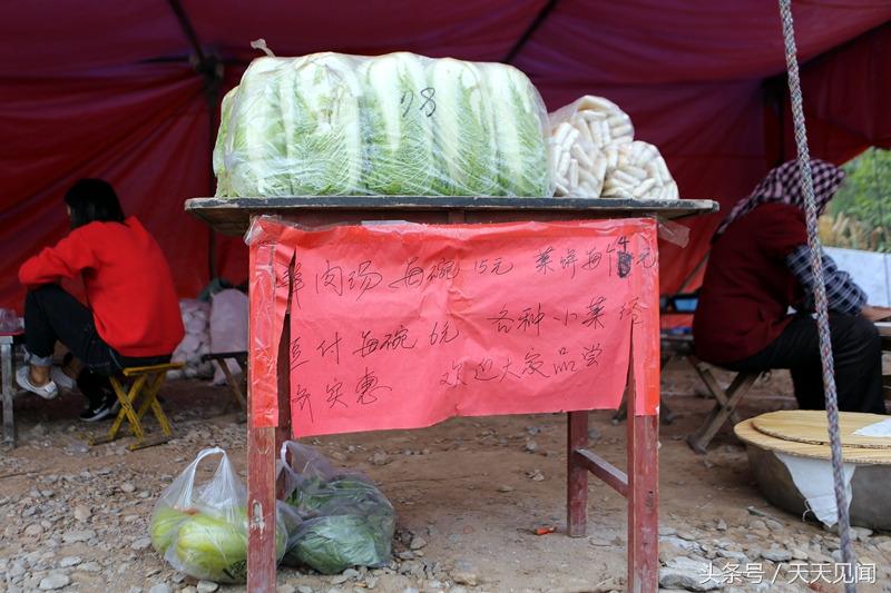 菜餅價格最新行情中的溫情故事揭秘