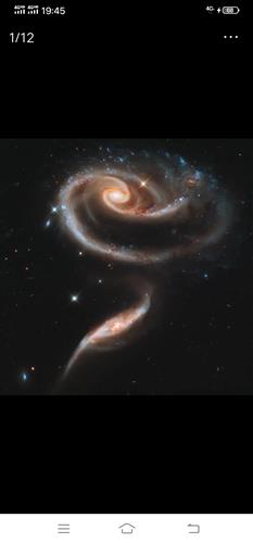 銀河生物最新動態(tài),尋找內心平靜的奇妙探索之旅