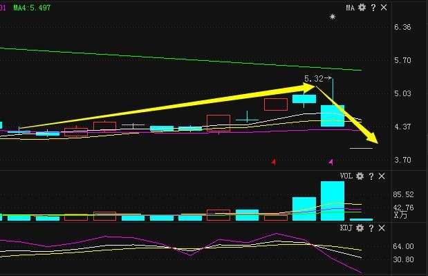 銀河生物最新動態,尋找內心平靜的奇妙探索之旅
