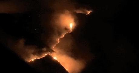 四川火災最新消息更新，最新四川火災新聞報道速遞