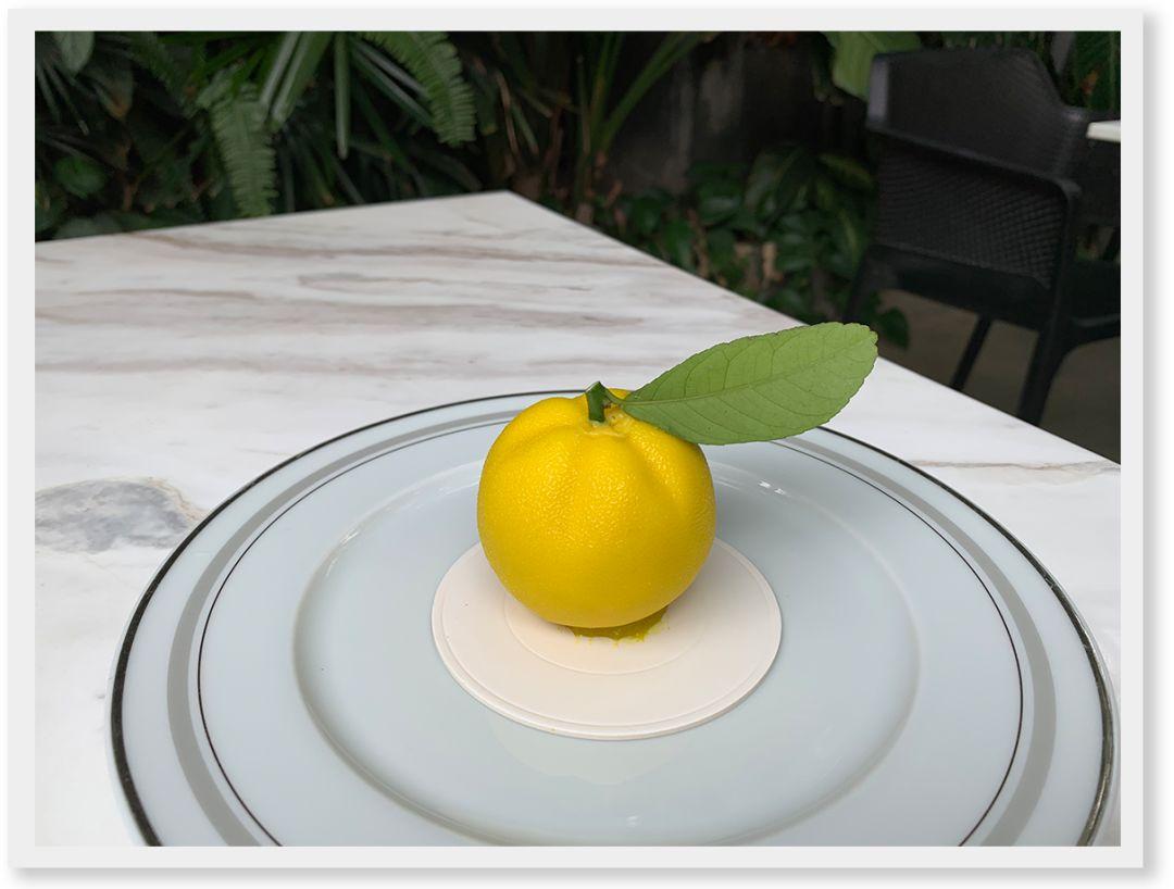 最新柚子,甜蜜果實與溫馨友情的故事