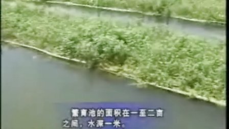 萌寵樂園最新養殖視頻，溫馨日常的精彩呈現