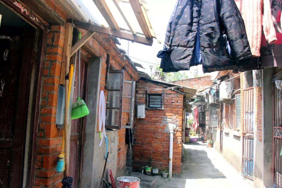 五A添盛坊青稞原漿 第229頁