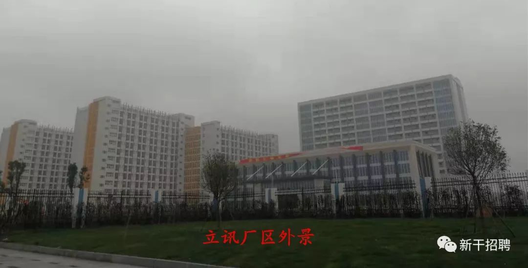 吉安立訊最新招聘,小巷中的隱藏寶藏,探索無限機遇!