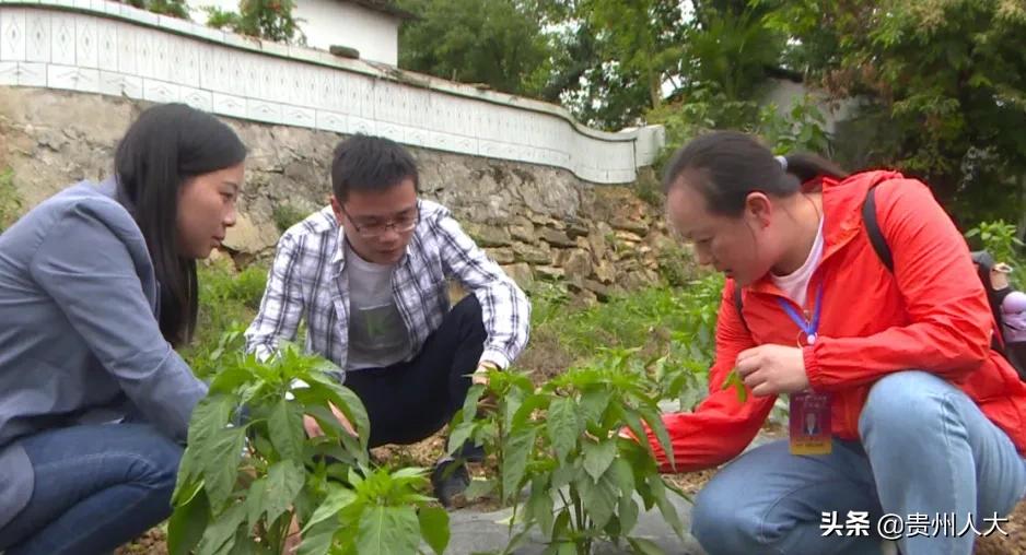 資助通APP最新版,點亮學習之路,成就夢想無限可能