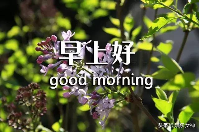 最新幽默短信，笑對人生，學習成長的力量之源