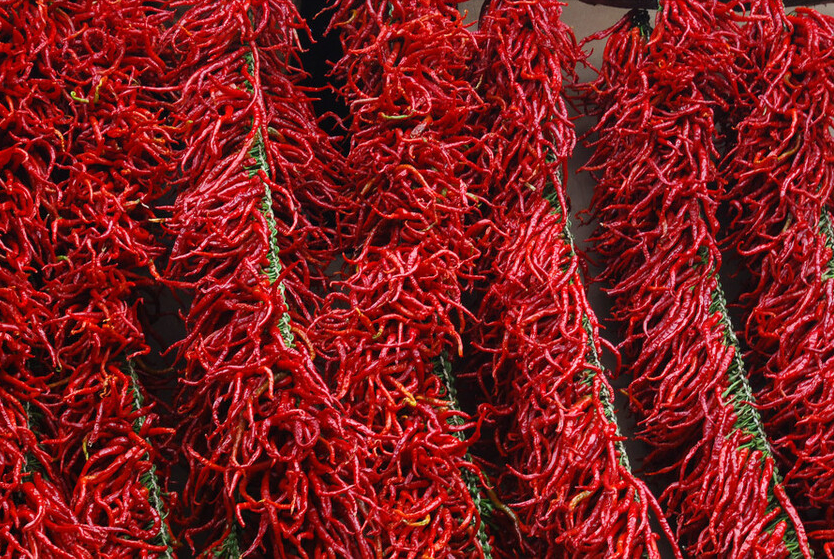 河南辣椒價格最新行情，開啟火熱學習之旅